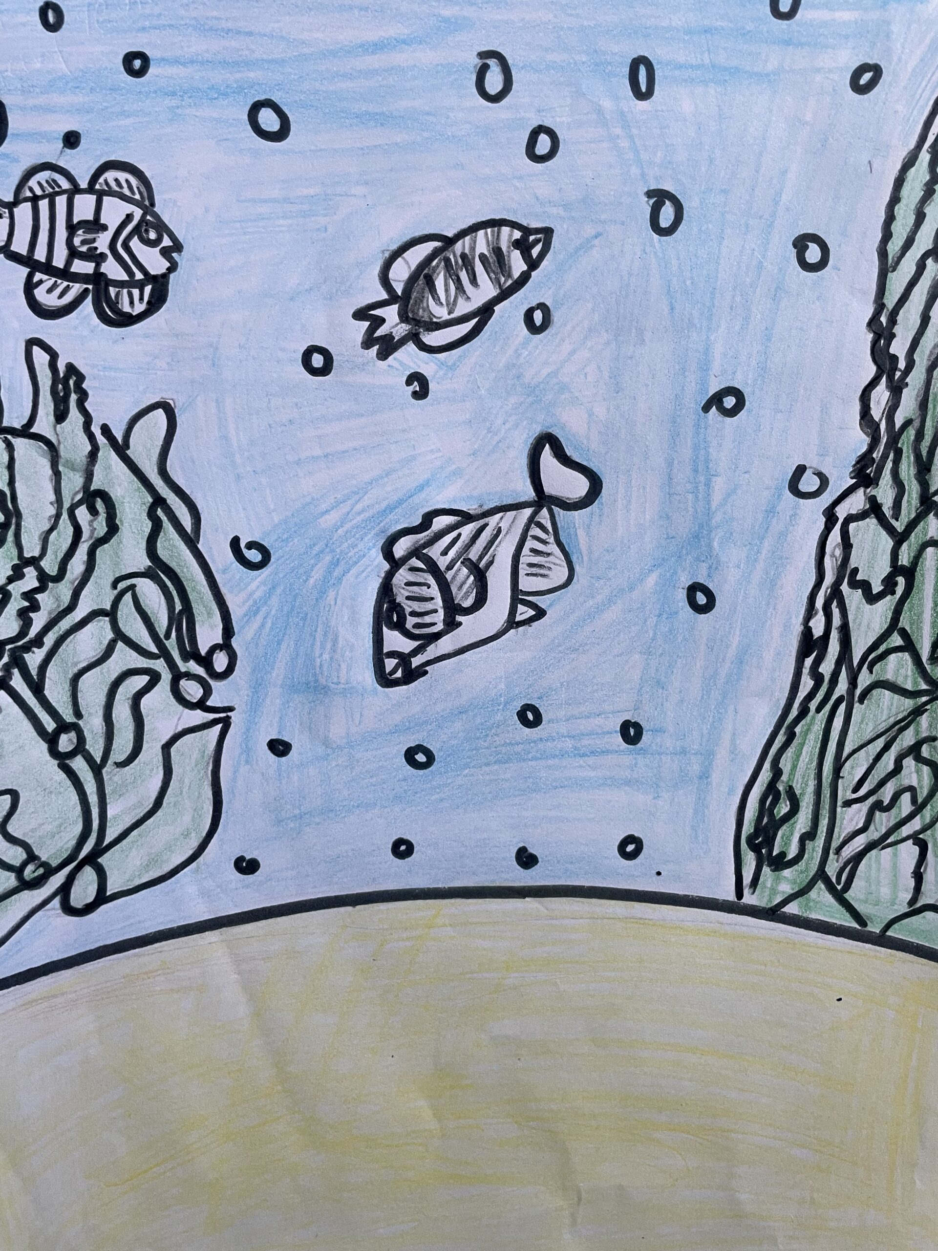 Seascape – 4rd Grade