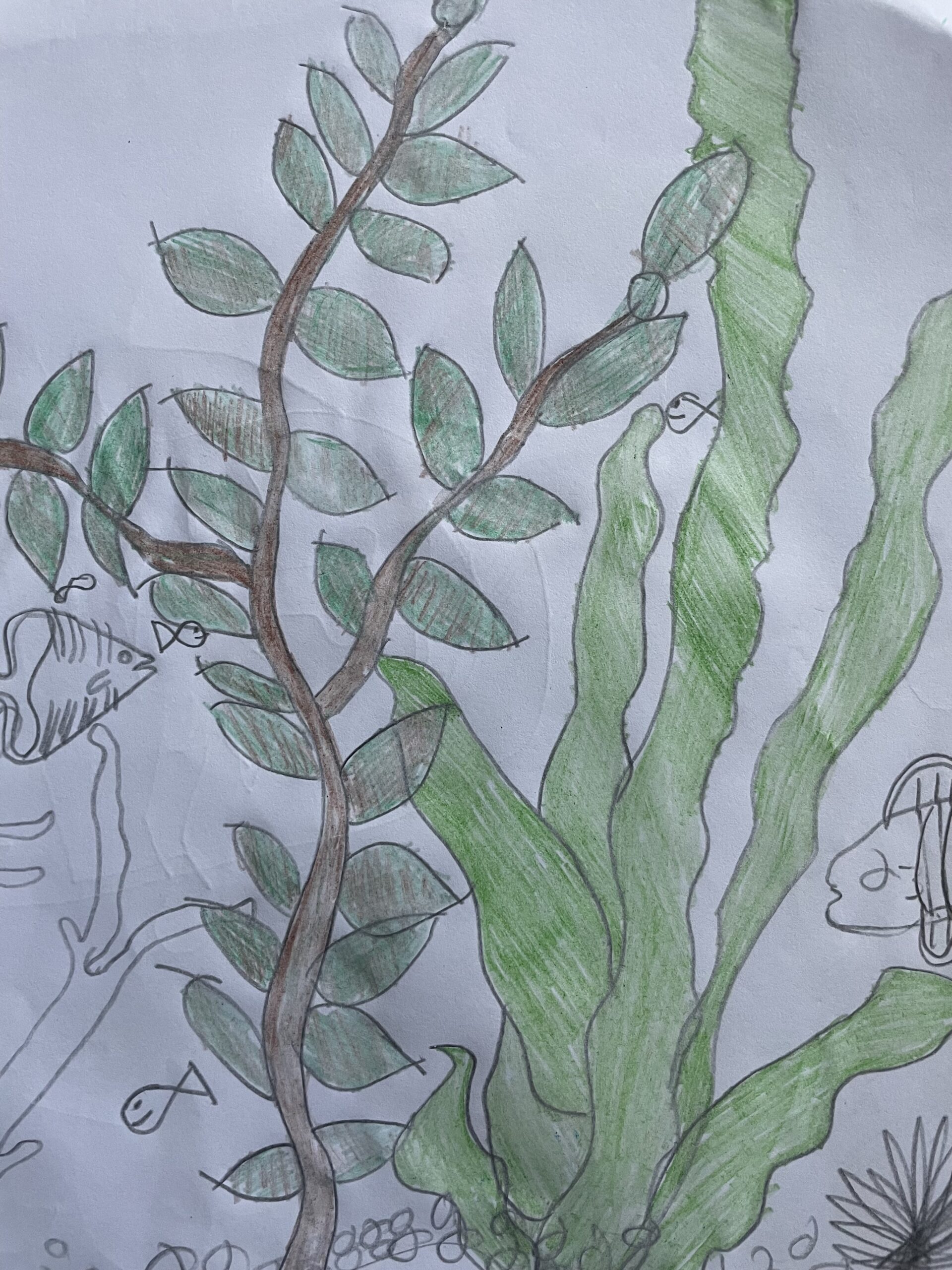 Seascape – 5th Grade